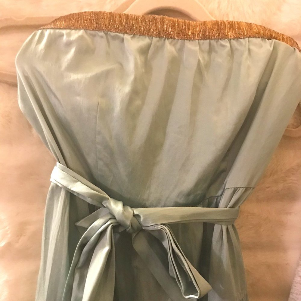 New Cynthia Vincent Strapless Dress